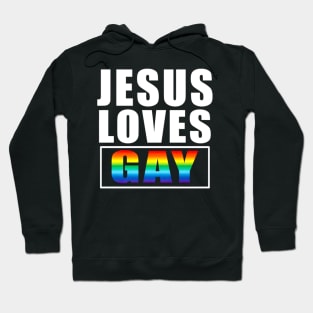 Jesus Loves Gay Costume Gift Hoodie